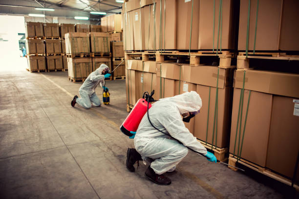 Best Affordable Pest Control Services  in New Haven, WV