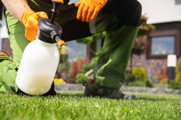 Best Mosquito Control Services  in New Haven, WV