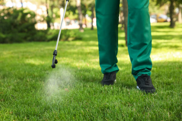 Professional Pest Control in New Haven, WV