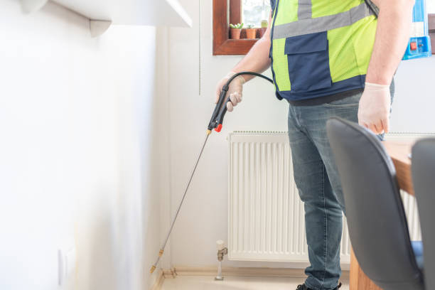 Best Pest Control Near Me  in New Haven, WV