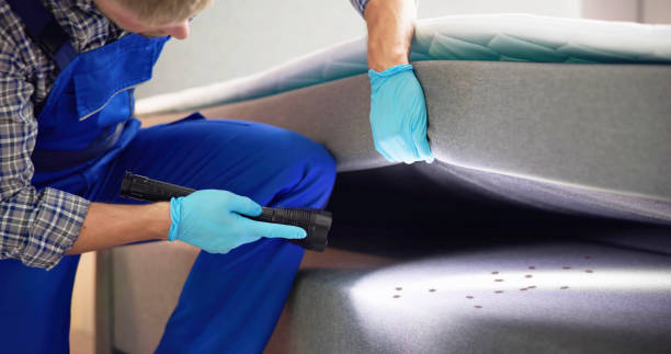 Best Pest Control for Restaurants  in New Haven, WV